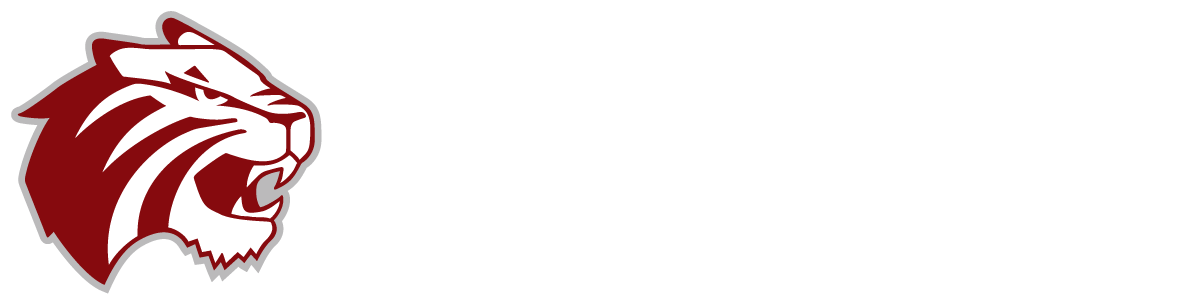 Tiger Network logo