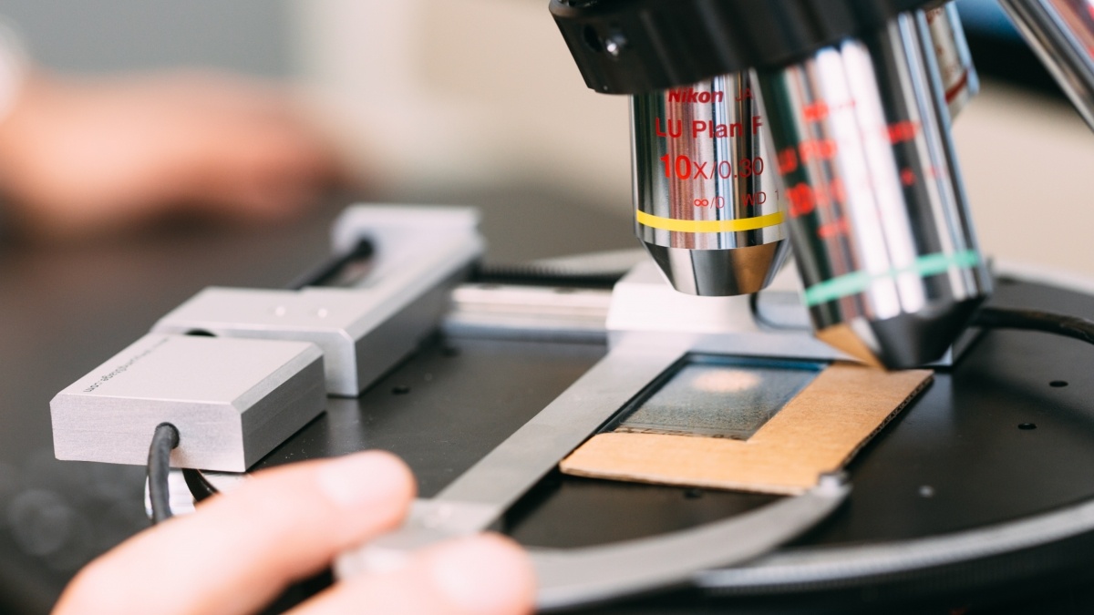 slide on microscope